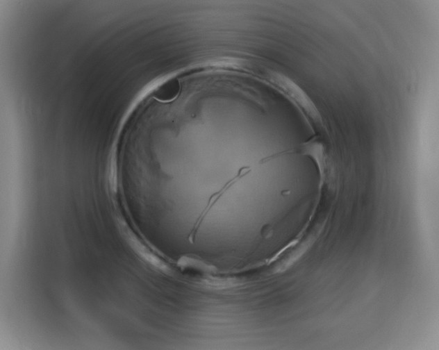 X0000115331036200911091241