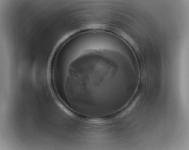 X0000115331037200911091241