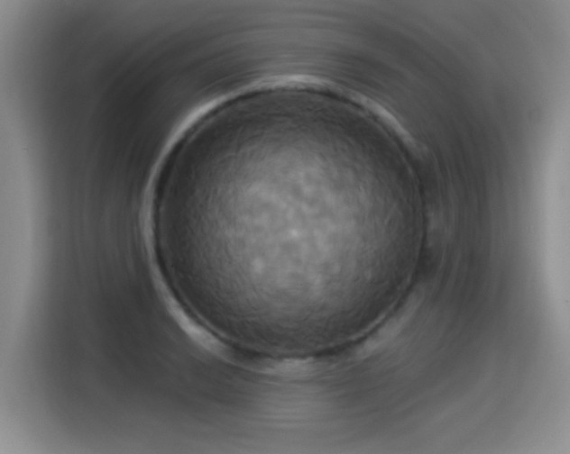 X0000115331038200911091241