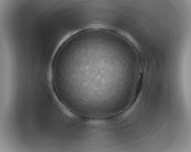 X0000115331040200911091241