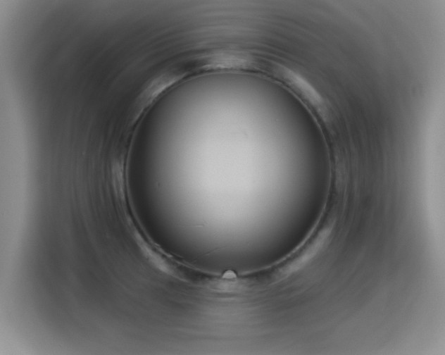 X0000115331041200911091241