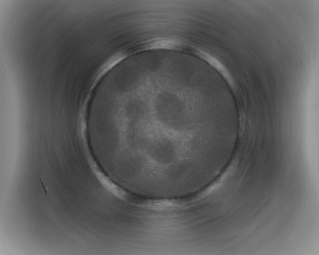 X0000115331042200911091241