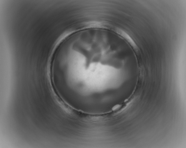 X0000115331043200911091241