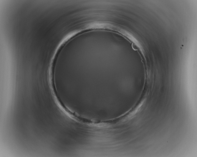 X0000115331045200911091241