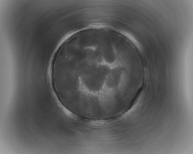 X0000115331046200911091241