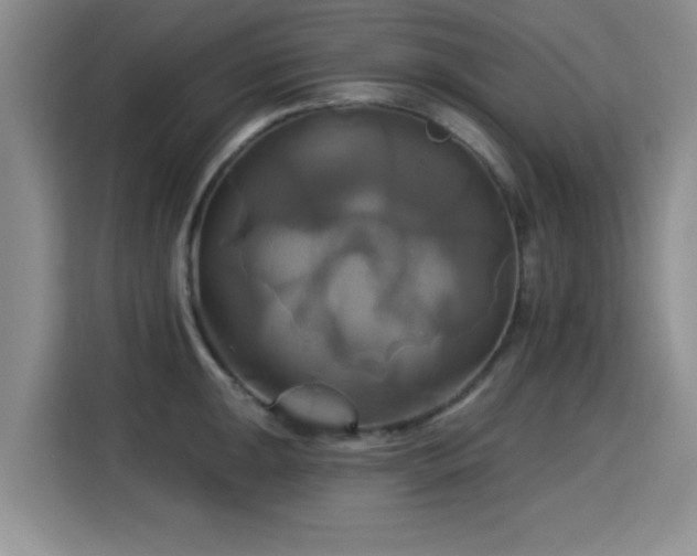 X0000115331047200911091241