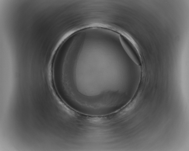 X0000115331048200911091241