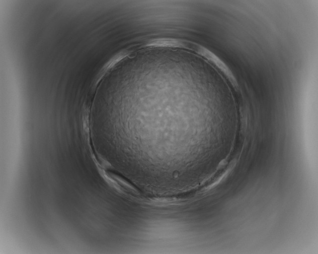 X0000115331049200911091241