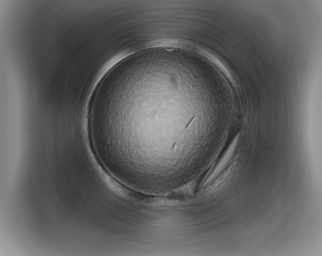 X0000115331050200911091241