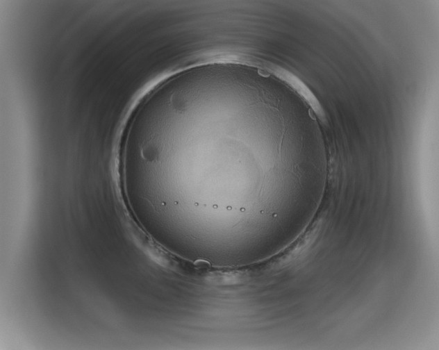 X0000115331051200911091241