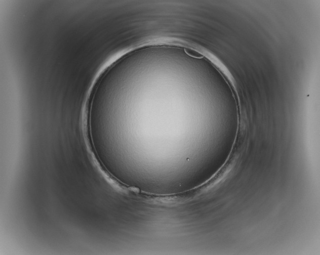 X0000115331053200911091241