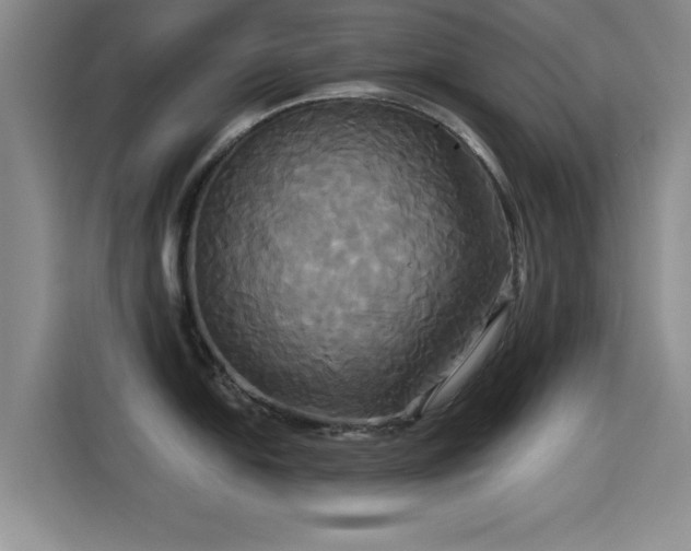 X0000115331054200911091241