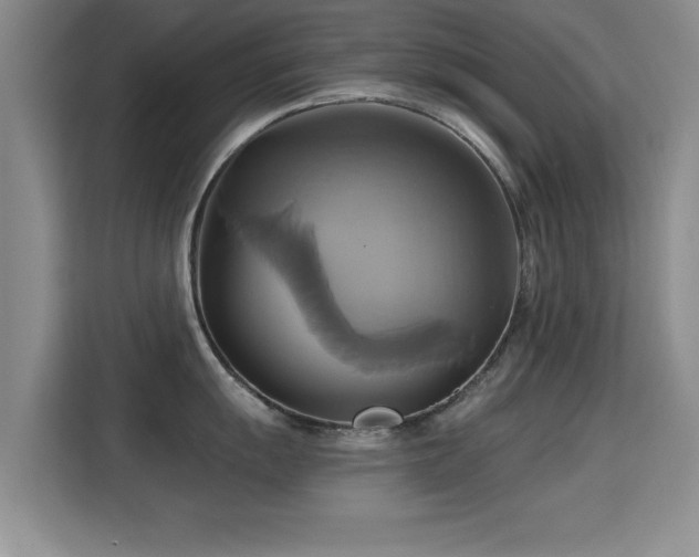 X0000115331055200911091241