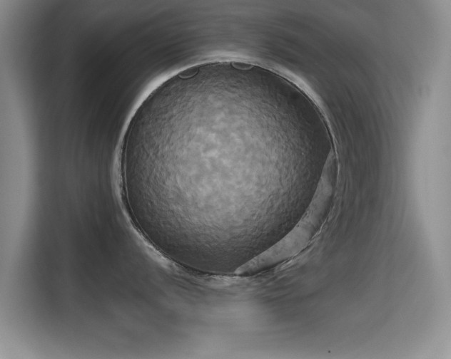 X0000115331056200911091241