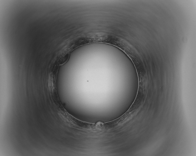 X0000115331058200911091240