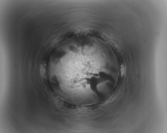 X0000115331059200911091240