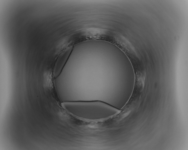 X0000115331060200911091240