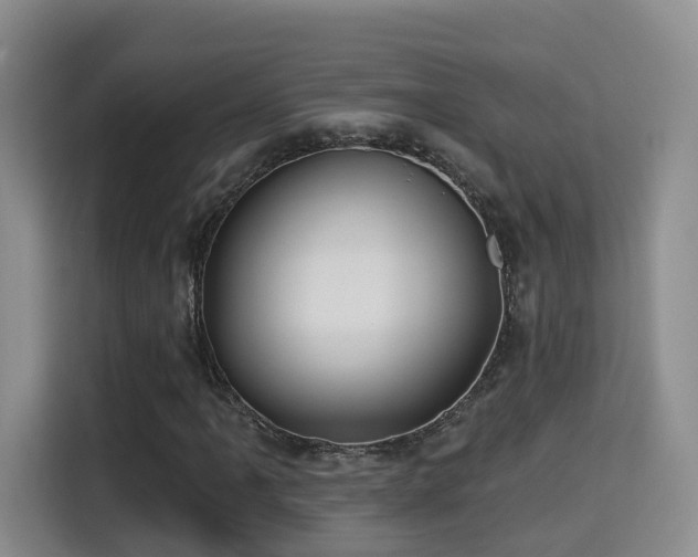 X0000115331061200911091240