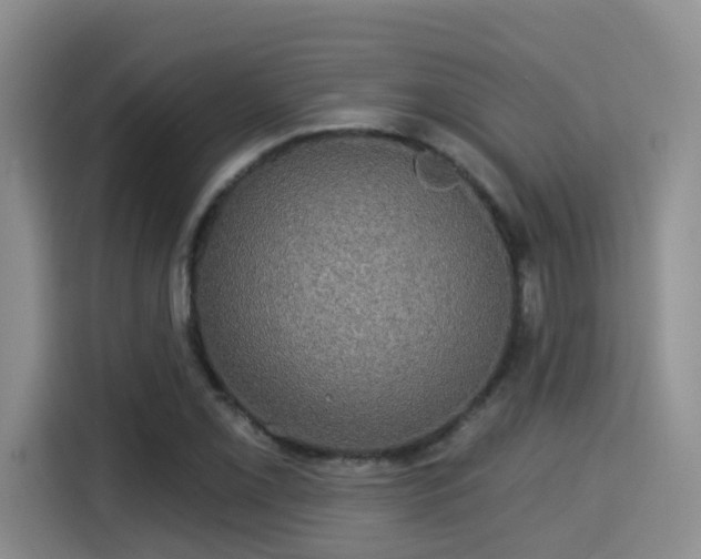 X0000115331069200911091240