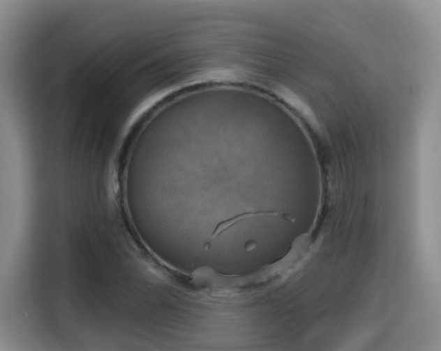 X0000115331070200911091240