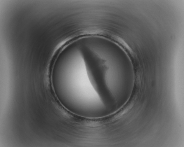 X0000115331071200911091240