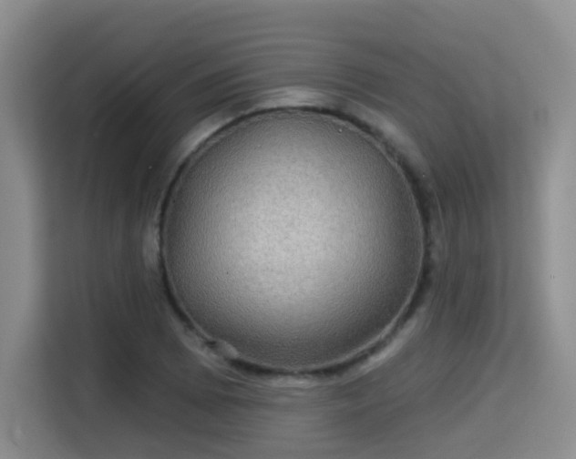 X0000115331073200911091240