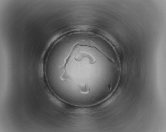 X0000115331075200911091240