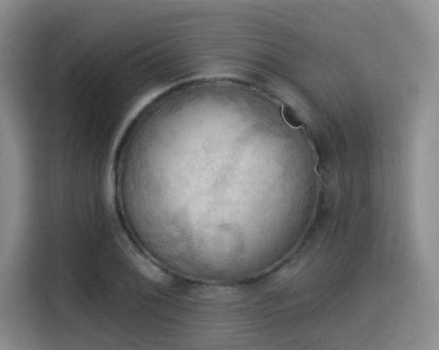 X0000115331076200911091240