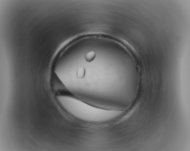X0000115331077200911091240
