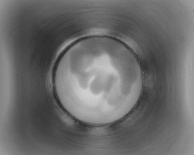 X0000115331078200911091240