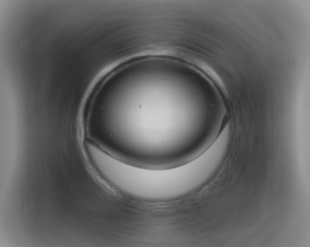 X0000115331080200911091240
