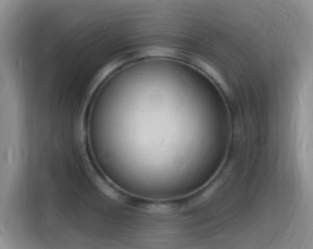 X0000115331082200911091240