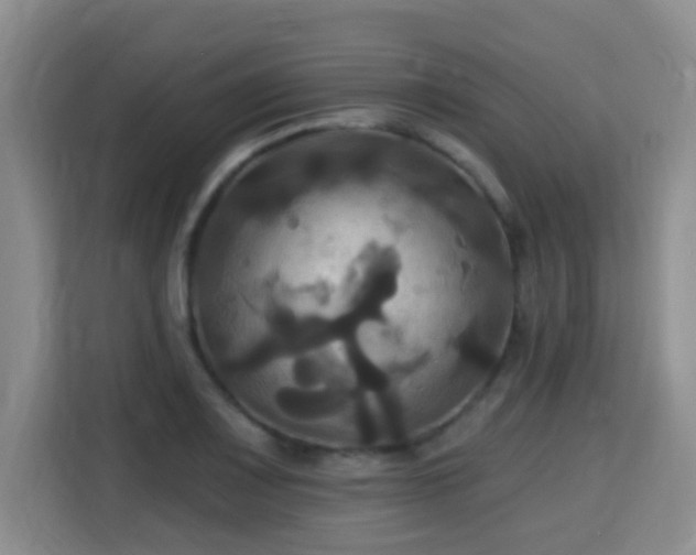 X0000115331083200911091240