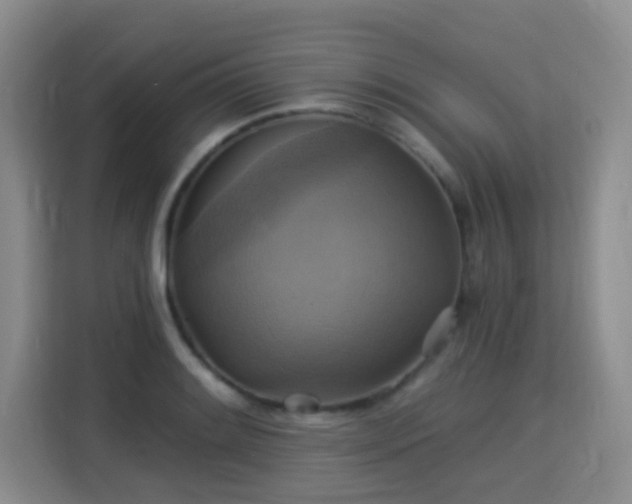 X0000115331084200911091240