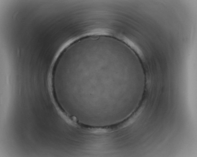 X0000115331085200911091240