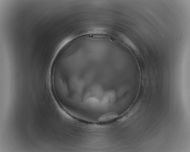 X0000115331087200911091240