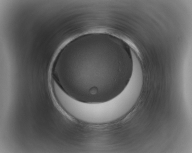 X0000115331088200911091240