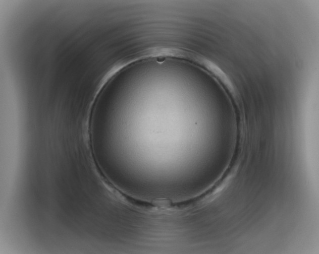 X0000115331089200911091240