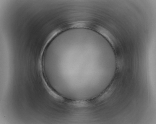 X0000115331090200911091240