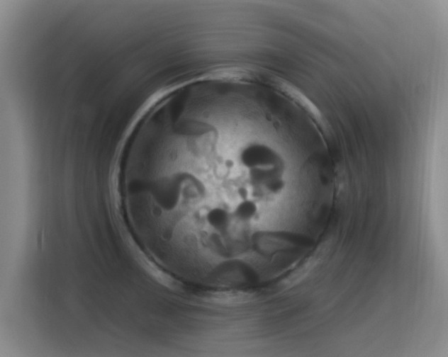 X0000115331091200911091240