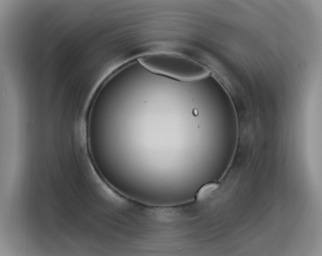 X0000115331092200911091240