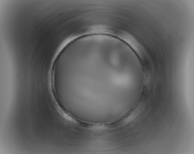 X0000115331094200911091240