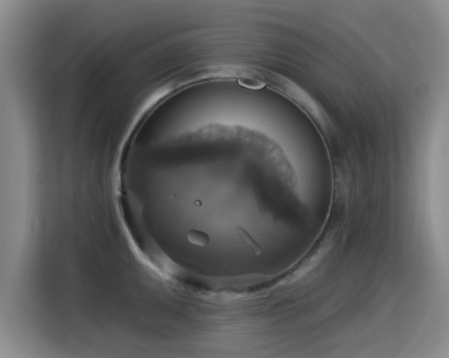 X0000115331095200911091240