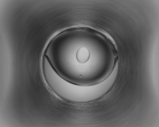 X0000115331096200911091240