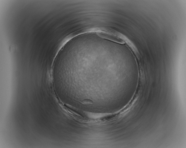 X0000115331097200911091240