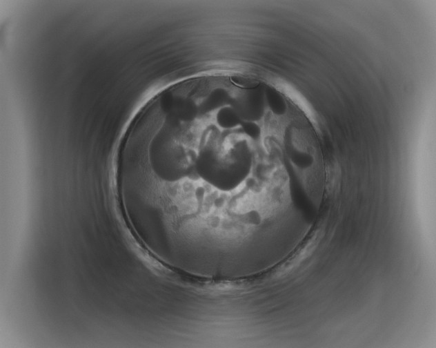 X0000115331099200911091240