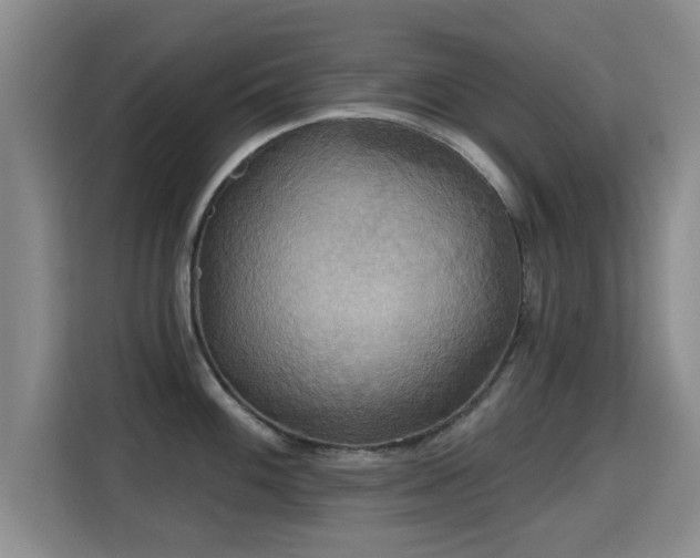 X0000115331100200911091240