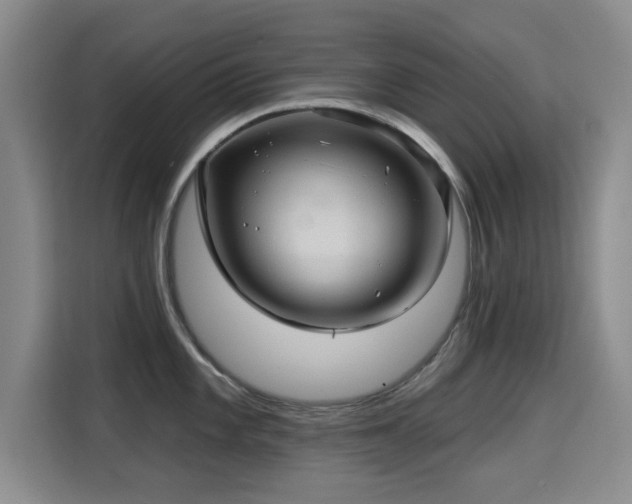 X0000115331101200911091240