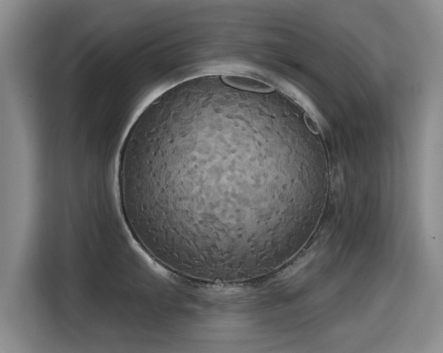 X0000115331103200911091240