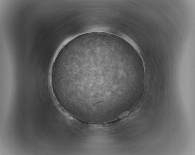 X0000115331104200911091240